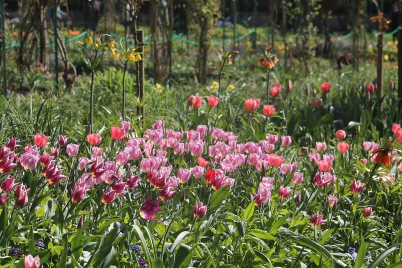 Paris: Giverny Gardens Day Trip with Professional Tour Guide - Practical Tips for Visiting Giverny