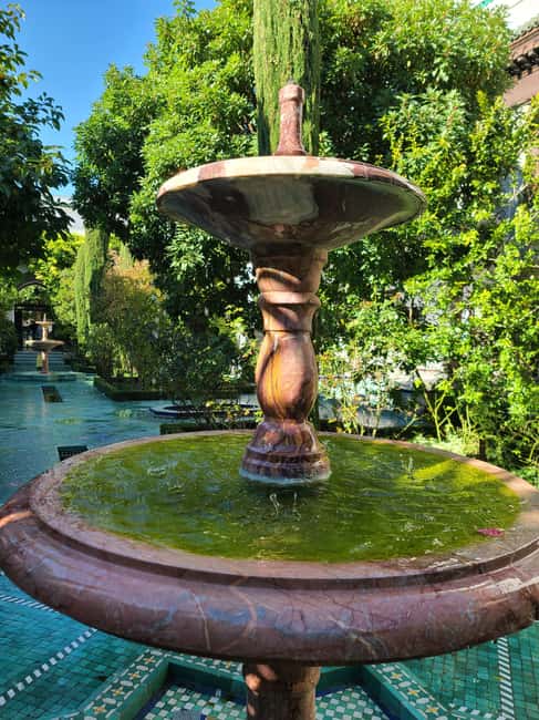 Paris: Guided Tour of the Grand Mosque & Secret Gardens - Key Points