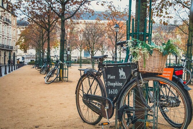 Paris Historic Islands Walk: Seine, Notre Dame & Louvre Views - Photography Tips and Visual Aids