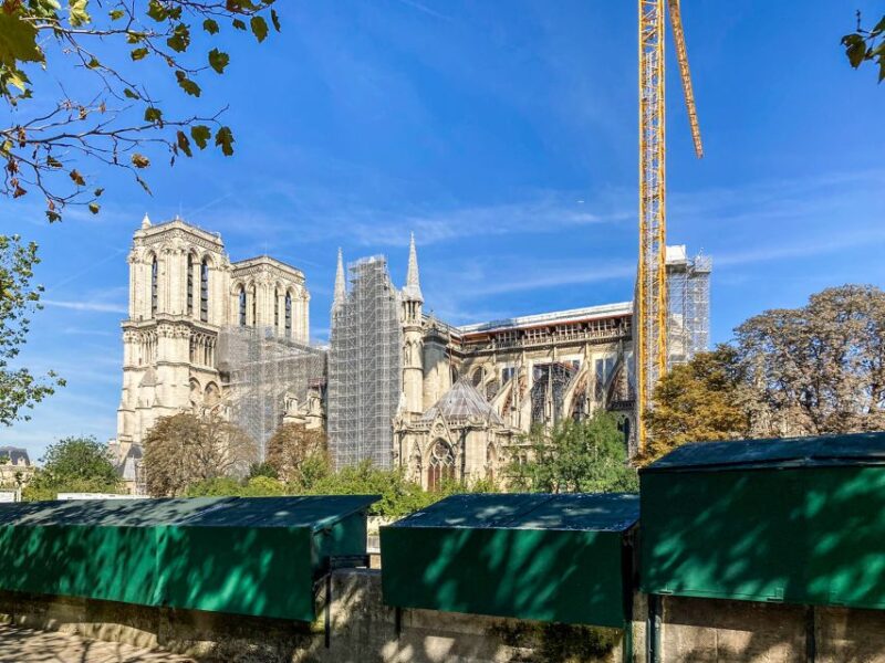 Paris: Île de la Cité and Notre-Dame Walking Tour With Crypt - Guide Quality and Tour Pacing