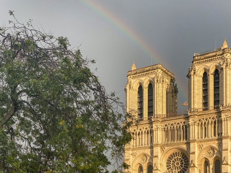Paris: Île de la Cité and Notre-Dame Walking Tour With Crypt - Practical Tips and Considerations