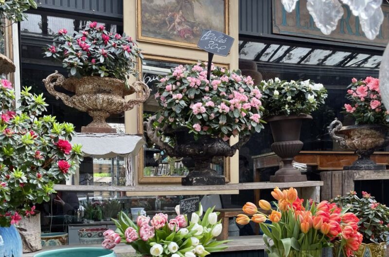 Paris: Ile De La Cité Walking Tour and Paris' Birthplace - The Value of a Guided Small-Group Experience