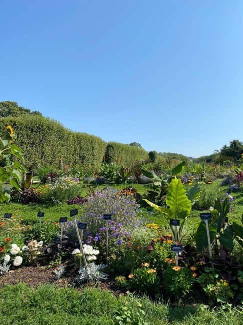 Paris: Latin Quarter Walking Tour w/ Notre Dame Assist Entry - Who Will Enjoy This Tour Most?