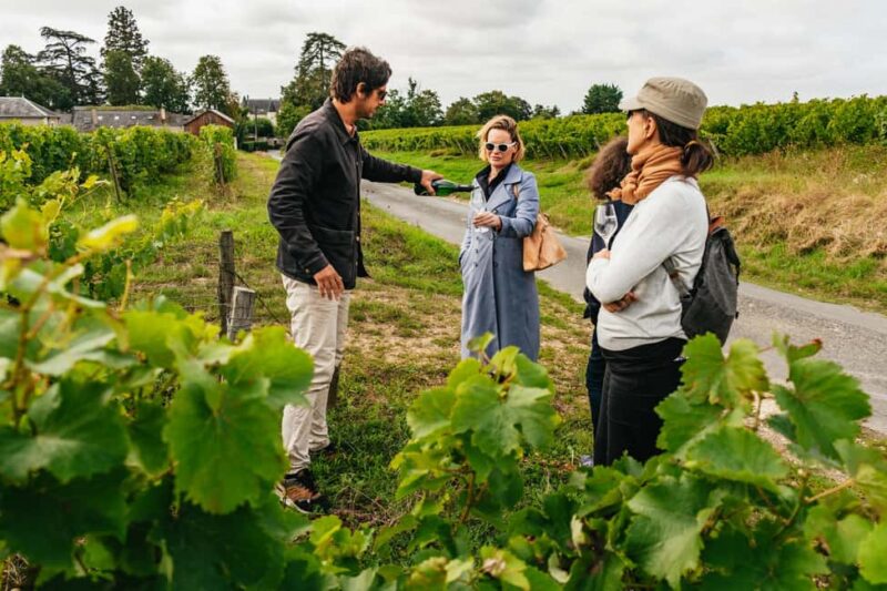 Paris: Loire Valley Chambord Castle, Wine Tasting & Lunch - Discover the Loire Valleys Castles and Wineries on a Full-Day Trip from Paris