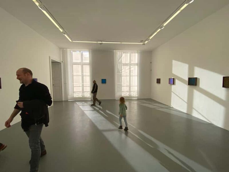 Paris: Marais Contemporary Art Galleries with an artist - Discover the Maraiss Contemporary Art Scene with an Artist-Led Tour