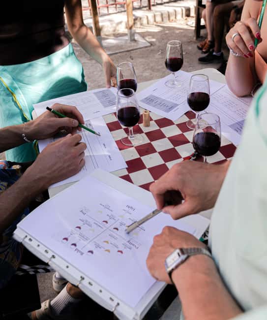 Paris: Marais Wine Tasting and Walking Tour - Final Wine Tasting at a Cozy Bar