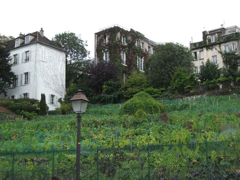 Paris: Montmartre Private Guided Walking Tour - Key Points