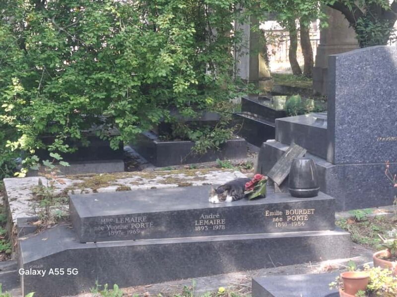 Paris: Myths and Legends of the Père Lachaise Cemetery in Spanish - Unique Route through Narrow Paths and the English Forest