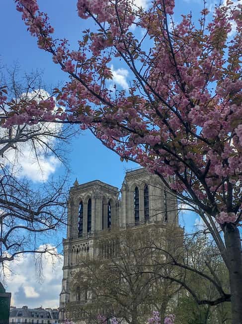 Paris: Notre Dame Exteriors and Ile de la Cité Walking Tour - Viewing Sainte-Chapelle and the Palais de Justice