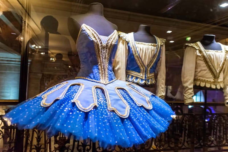 Paris: Opera Garnier Entry Ticket - The Experience of Viewing the Decor and Artworks