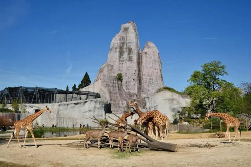 Paris: Paris Zoological Park Entrance Ticket - Key Points