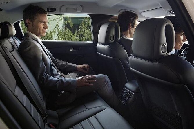 Paris Private Arrival Transfer: Railway Station to Hotel - The Vehicle: Comfort and Practicalities