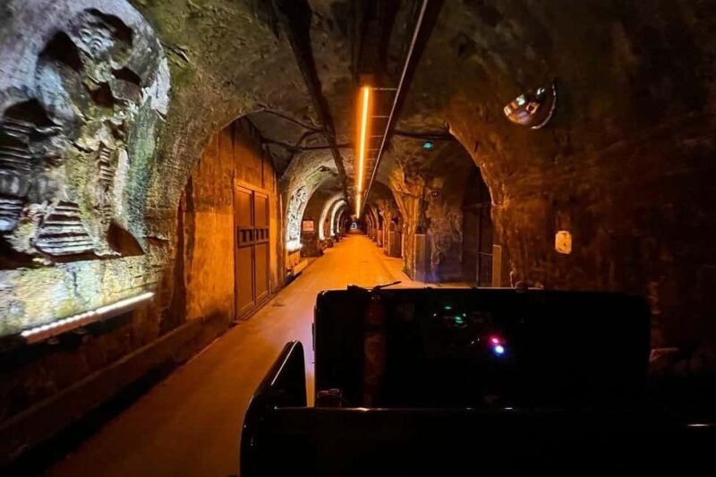 Paris: Private Champagne Tour  Picnic & Tasting + Gift - Key Points