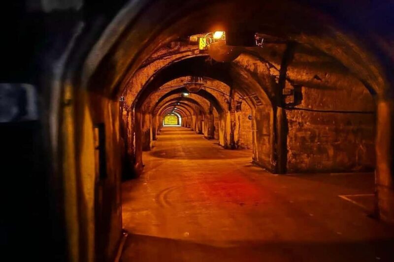 Paris: Private Champagne Tour  Picnic & Tasting + Gift - Experience a Unique Private Tour to the Champagne Region