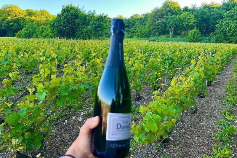 Paris: Private Champagne Tour  Picnic & Tasting + Gift - The Experience Provider and Similar Tours