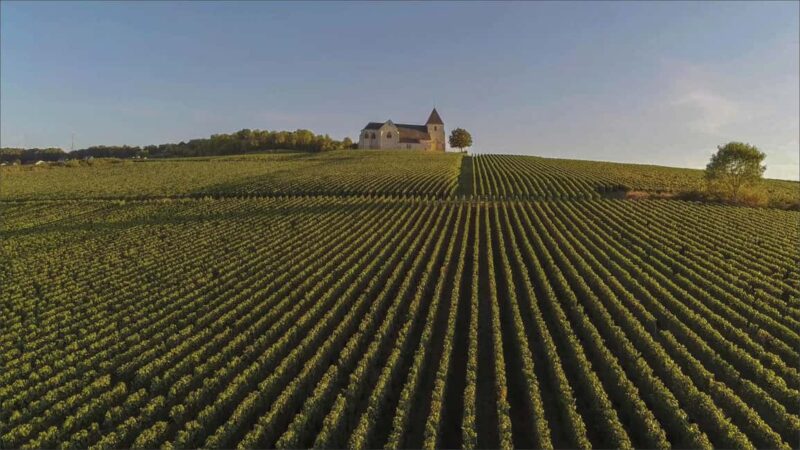 Paris: Private Chauffeur-Driven Champagne Region Day Trip - Discover the Champagne Region on a Private Chauffeur Tour from Paris