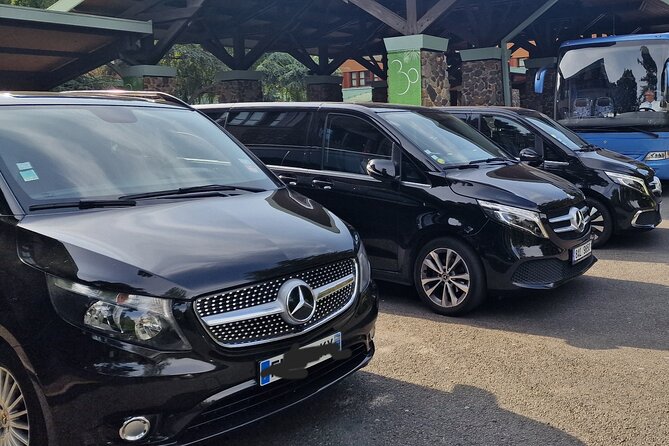 Paris Private City Tour Experience - How Does the Pricing Reflect the Experience?