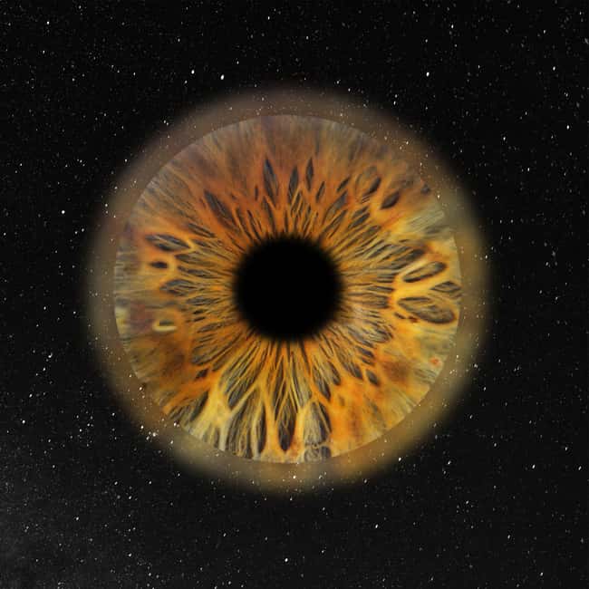 Paris: Professional Iris Photography with a Framed Print - Capture a Unique Iris Portrait in Paris for a Personalized Keepsake