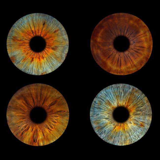 Paris: Professional Iris Photography with a Framed Print - Starting Point at 60 Rue du Roi de Sicile in Paris