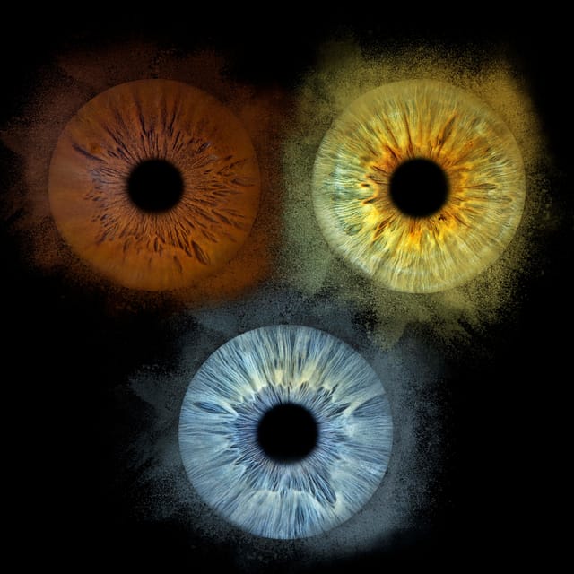 Paris: Professional Iris Photography with a Framed Print - Who Will Appreciate This Iris Photography Tour?