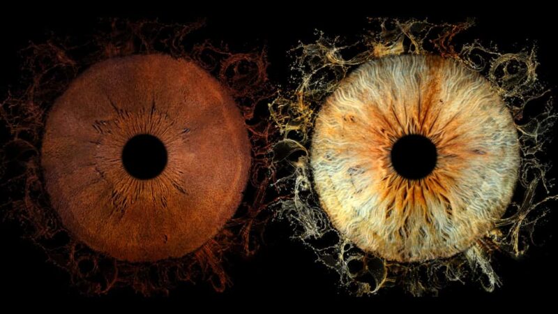 Paris Rivoli: Reveal the beauty of your iris with Iris Galerie - Discover the Iris Galerie in Paris Rivoli