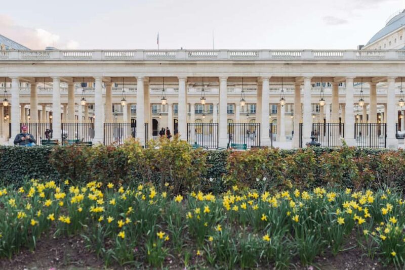 Paris: Royal Palais, Tuileries and D'Orsay Tour - Logistics and Booking Options