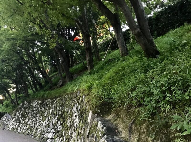 Paris Secret Gardens 1.30 hour long Walking Tour - Discover Paris’s Secret Gardens in a 2-Hour Walk