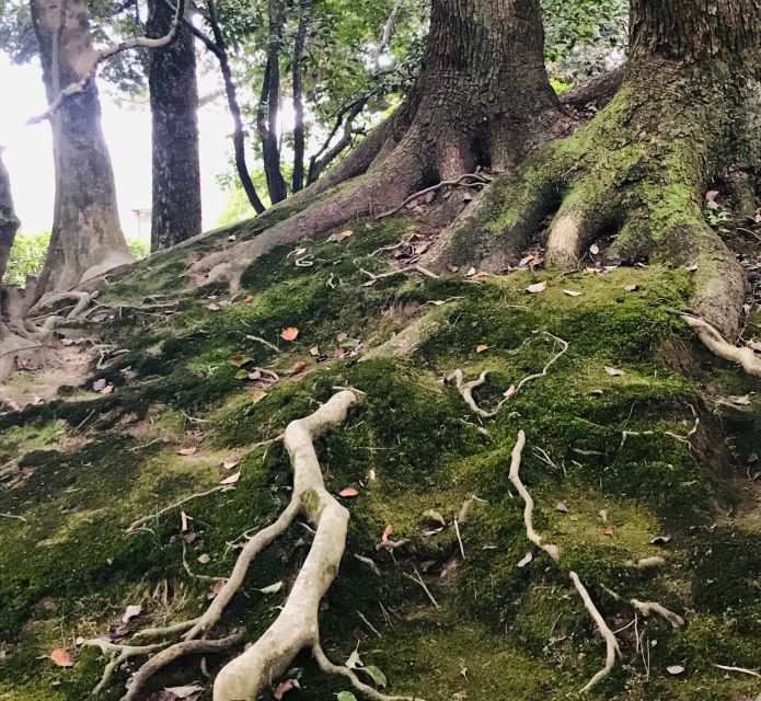 Paris Secret Gardens 1.30 hour long Walking Tour - The Role of the Guide in Uncovering Hidden Nature