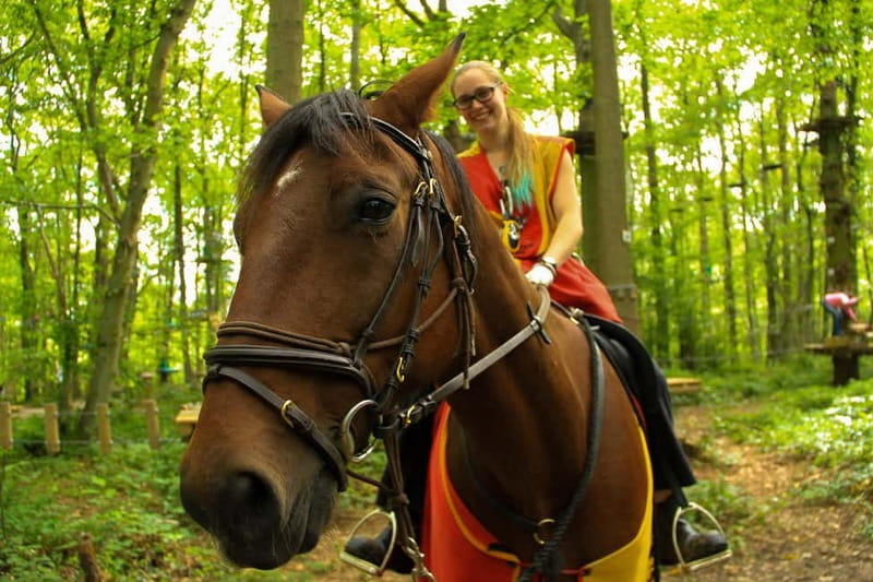 Paris : Sherwood Parc - Biggest Adventure Park Entry Ticket - Explore the Largest Adventure Park in France Near Paris