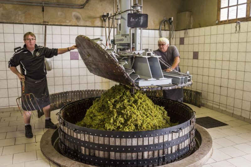 Paris: Two Reims Champagne Vineyards with Tastings and Lunch - Explore Reims and Its Champagne Heritage on a Private Day Trip