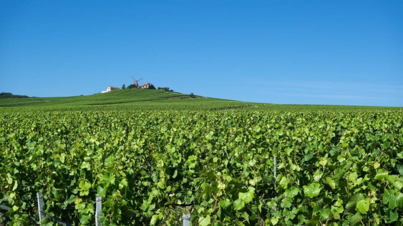 Paris VIP: Champagne Region Private Chauffeur Driven 12hrs - Discover the Champagne Region in Luxury and Comfort