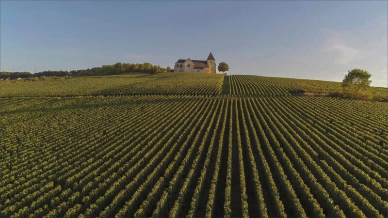 Paris VIP: Champagne Region Private Chauffeur Driven 12hrs - Touring the Champagne Houses: Moët, Veuve, and Taittinger