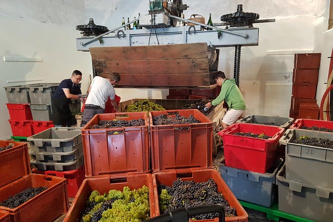 Paris Wine Day Tours exclusive Champagne tour incl. 3 visits - Key Points