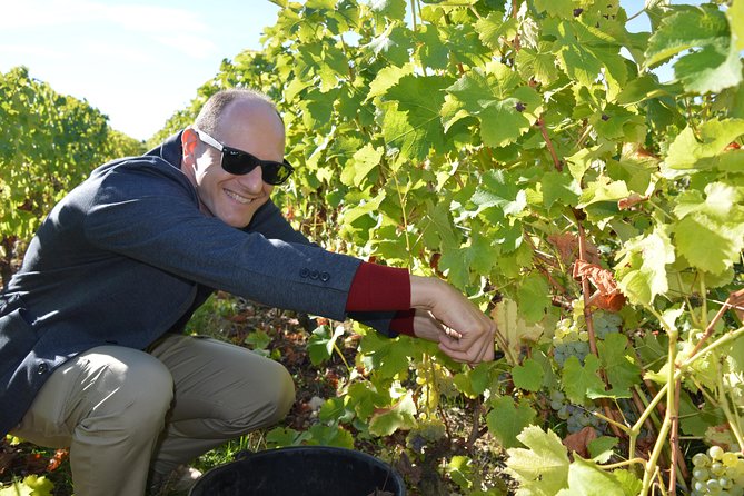 Paris Wine Day Tours exclusive Champagne tour incl. 3 visits - Exploring Reims and the Majestic Reims Cathedral