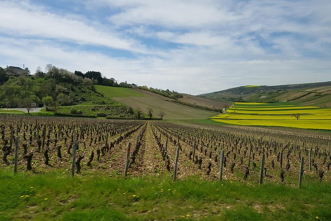 Paris Wine Day Tours exclusive wine tour in the Sancerre area - Discover the Best of the Sancerre Region on a Full-Day Tour from Paris