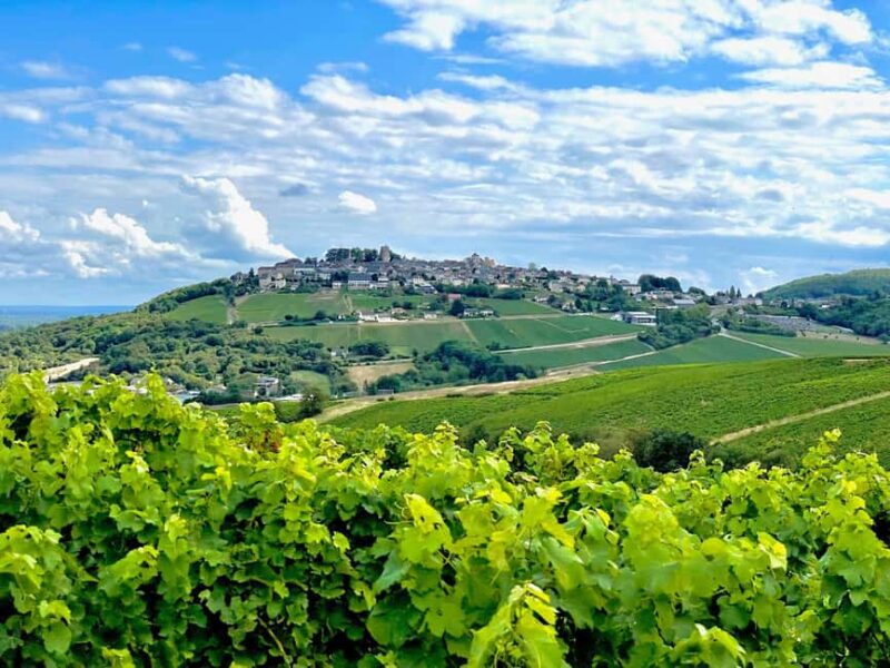 Paris Wine Day Tours - Sancerre wine tour from Paris - Walking Tour of the Historic Town of Sancerre