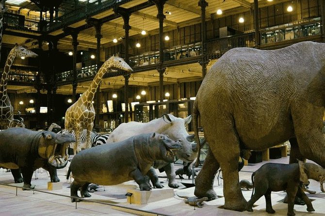 Paris with Kids Custom and Private Half-Day Tour - A Scenic and Short Cruise on the Seine River