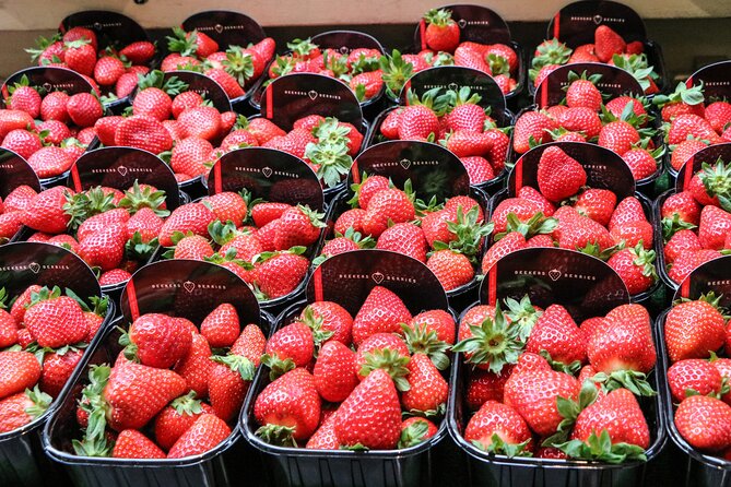 Parisian Happy Hour Food Tour with a Small Group - Logistics and Group Experience