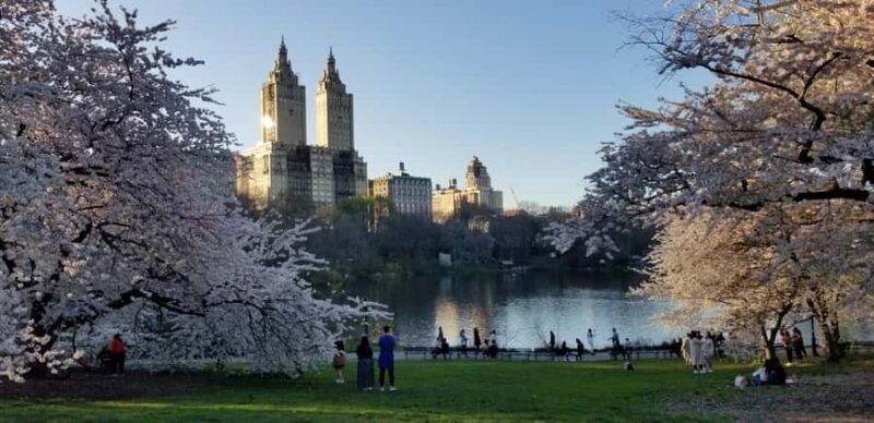 Parisian New York walking tour - Visiting NYC’s Architectural Gems: The Dorsiton and The Ansonia
