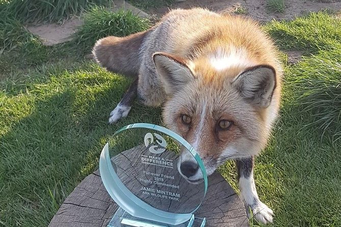 Park Entry for a Family of 4 (2 adults and 2 children) - Key Points