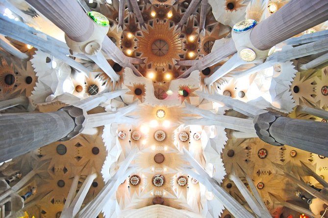 Park Güell and Sagrada Familia Private Tour - Physical Requirements and Accessibility