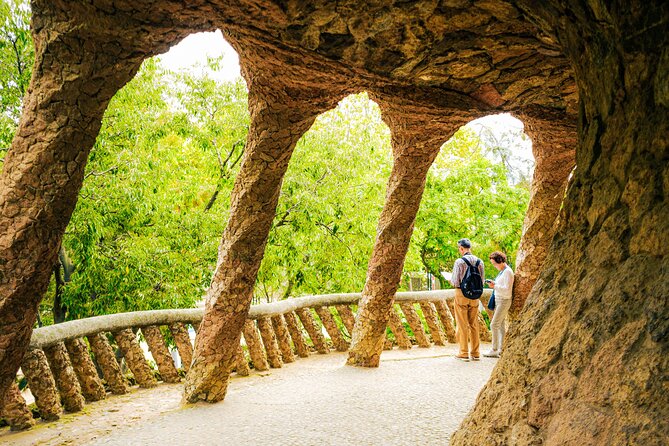 Park Guell Skip the Line Guided Tour - Discovering Gaudí’s Masterpiece with Expert Guides
