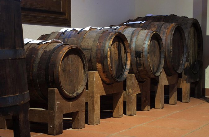 Parma Delights Tour: Parmigiano, Prosciutto & Balsamico - Walking Through Balsamic Vinegar Vineyards in Modena