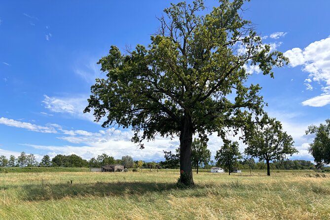 Parma Food Tour: Parmigiano & Culatello - Logistics and Practical Details