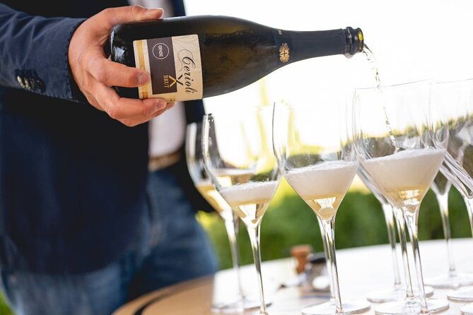 Parma Hills and Wine Tasting with Food Platter - Explore Parmas Vineyards and Wine-Making Process in a Compact Tour