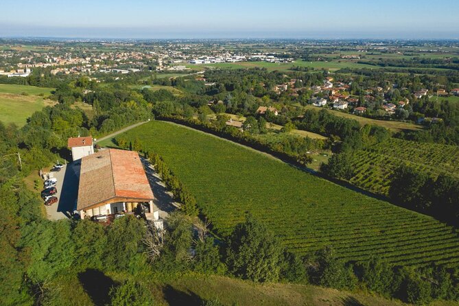 Parma Hills and Wine Tasting with Food Platter - Tasting Four Wines: A Perfect Balance of Flavors