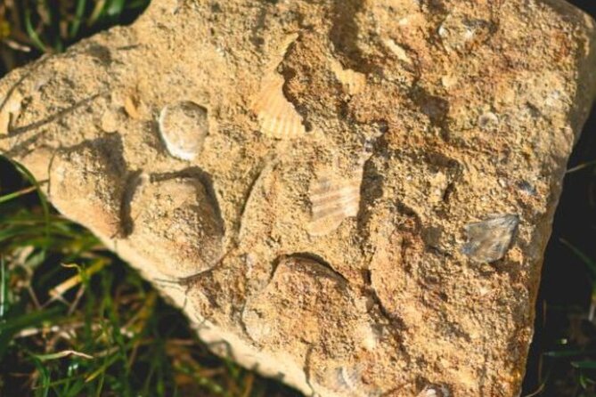 Parma Hills and Wine Tasting with Food Platter - Scenic Setting with Panoramic Views of Parma Countryside