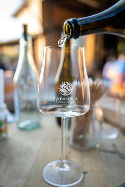 Parma: Visit the Vineyard and Taste 5 Local Wines - Tasting Five Local Wines with Bread and EVO Oil