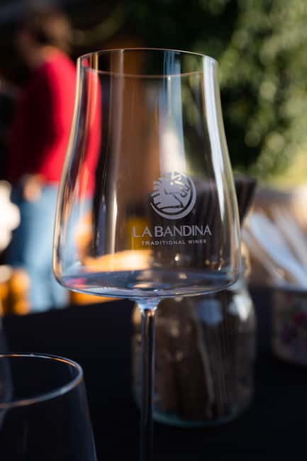 Parma: Visit the Vineyard and Taste 5 Local Wines - What Makes This Tour Stand Out Among Parma Experiences