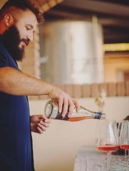 Parma: Visit the Vineyard and Taste 5 Local Wines - Possible Considerations for Visitors